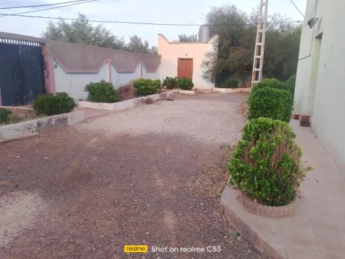 Vente Terrain Naâma Ain sefra