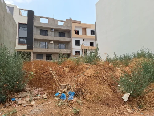 Vente Terrain Tlemcen Tlemcen