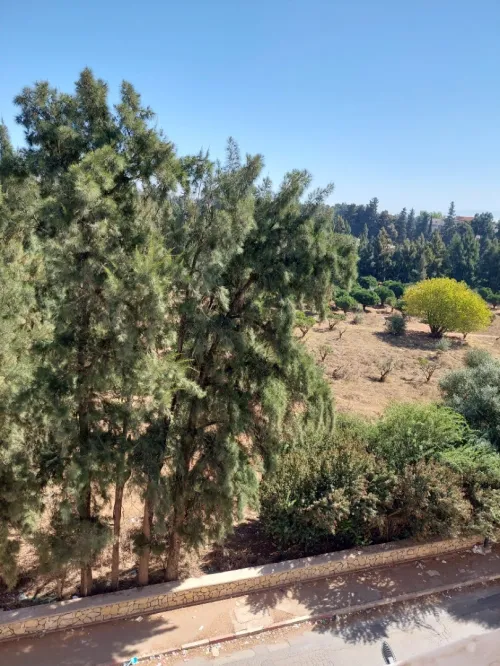 Vente Appartement F3 Tipaza Kolea