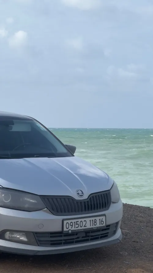 Skoda Fabia 2018 Monte Carlo