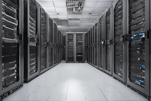 Expertise et services proposés