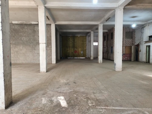 Location Hangar Alger Les eucalyptus