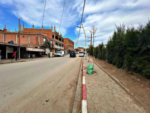 Vente Terrain Blida Bougara