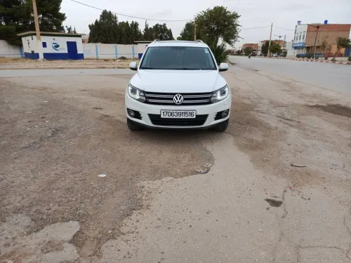 Volkswagen Tiguan 2015 Cup