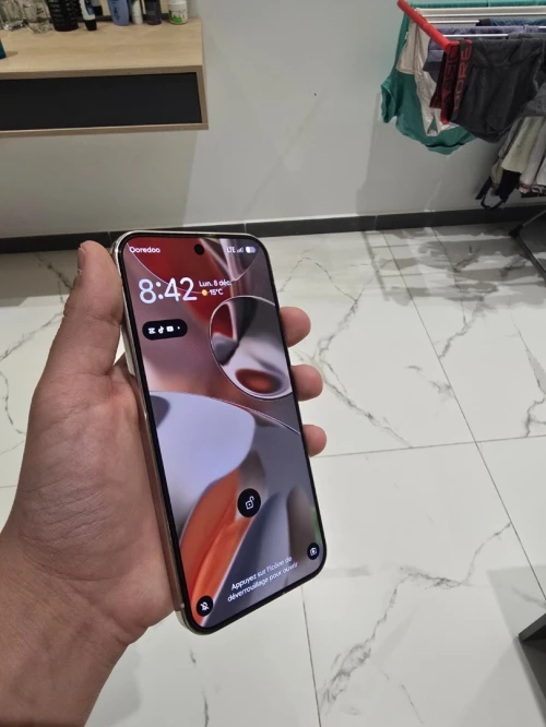 Google Pixel 9 pro xl