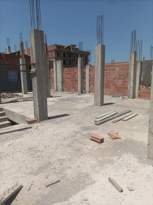Vente bien immobilier Alger Les eucalyptus