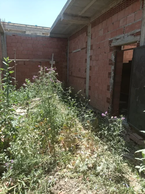 Vente bien immobilier Alger Les eucalyptus