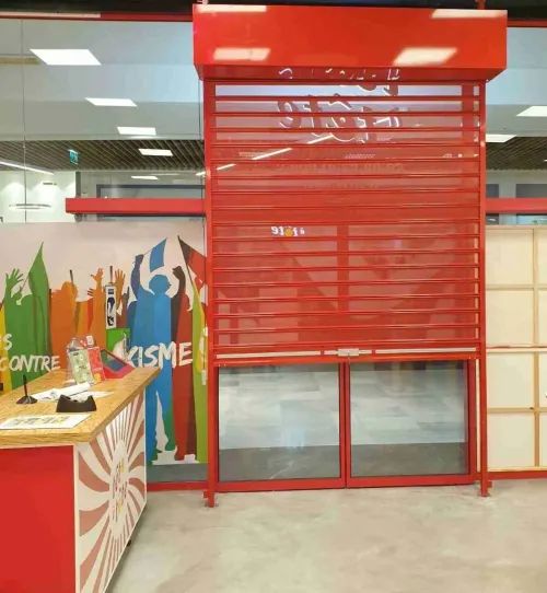 Automatisation de Portail & Rideau Électrique pour Showroom / Villa