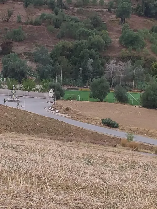 Vente Terrain Tizi Ouzou Tizi rached