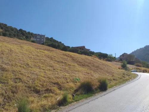 Vente Terrain Tizi Ouzou Tizi rached