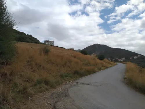 Vente Terrain Tizi Ouzou Tizi rached