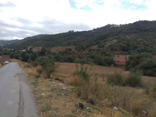Vente Terrain Tizi Ouzou Tizi rached