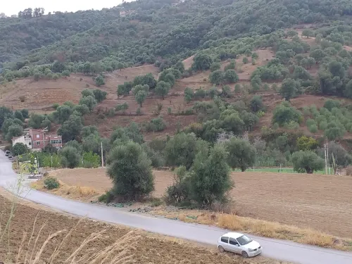 Vente Terrain Tizi Ouzou Tizi rached