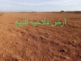 Vente Terrain Agricole Tiaret Naima