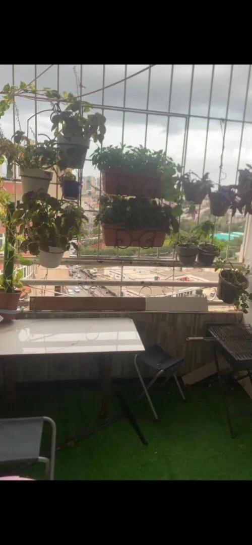 Location Appartement F3 Alger Bab ezzouar