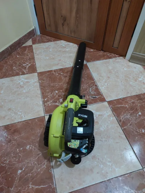 Souffleur Ryobi