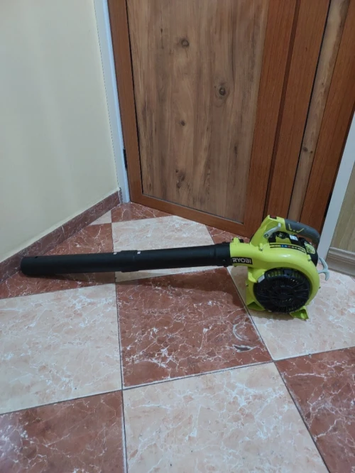 Souffleur Ryobi