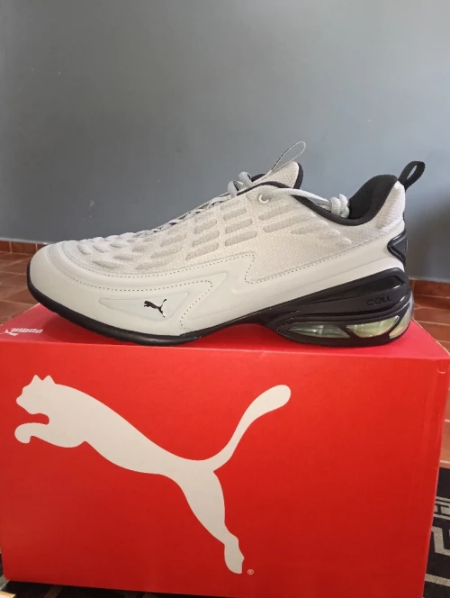 Basquet