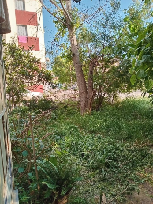 Vente Appartement F3 Blida Larbaa 5