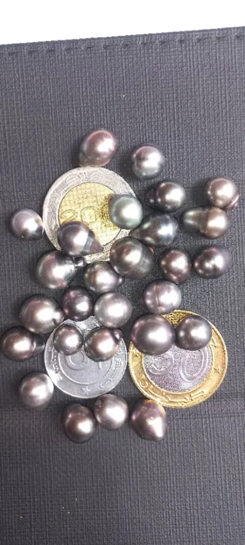 Perles