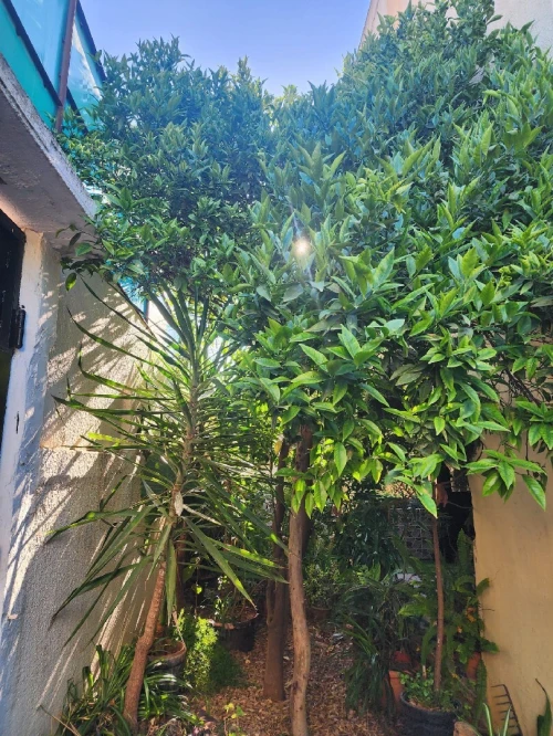 Vente Villa Alger El marsa