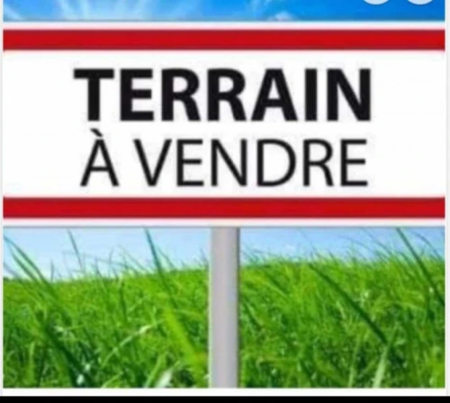 Vente Terrain Alger Bouzareah
