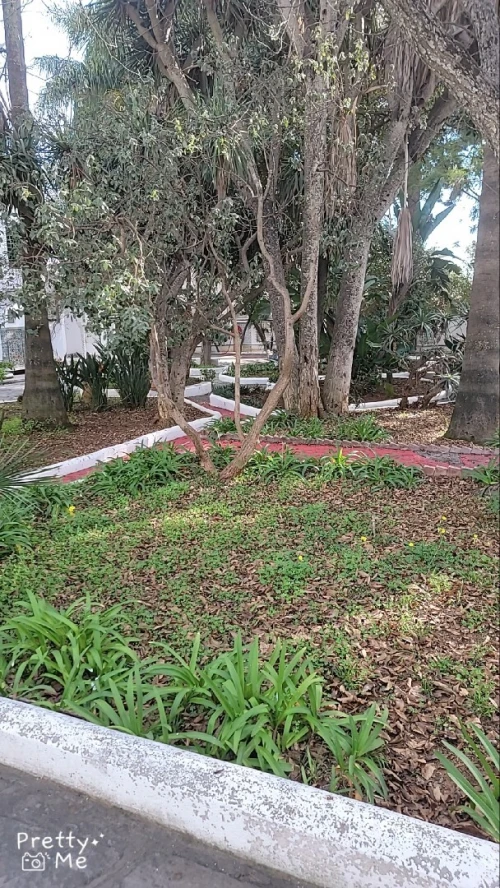 Vente Terrain Alger Hammamet