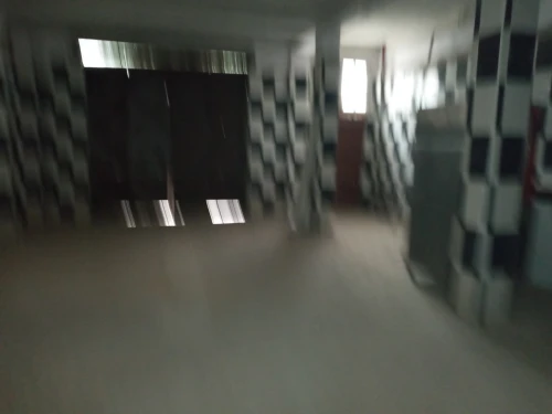 Location Villa Alger Les eucalyptus