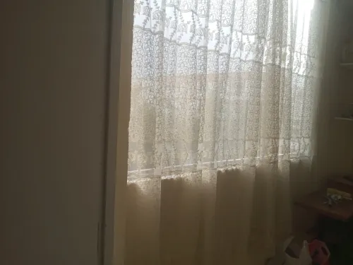 Location Appartement F3 Alger Les eucalyptus