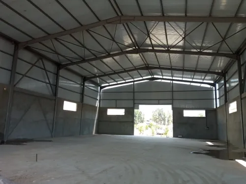 Location Hangar - Usine Alger Les eucalyptus