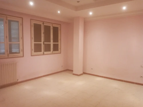 Location Villa Alger Les eucalyptus