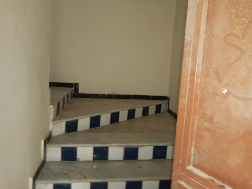 Location Villa Alger Les eucalyptus