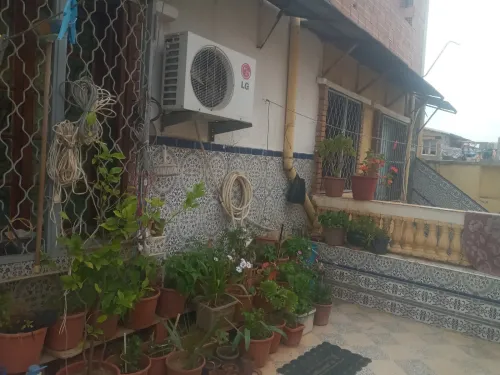 Vente Villa Alger Les eucalyptus