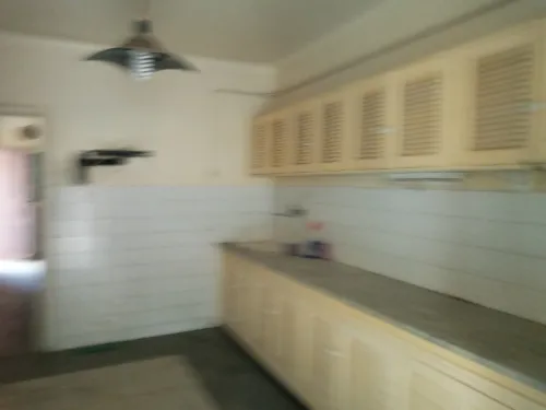 Location Villa Alger Les eucalyptus
