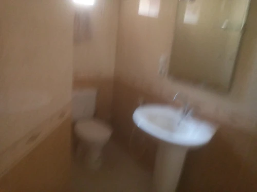 Location Villa Alger Les eucalyptus