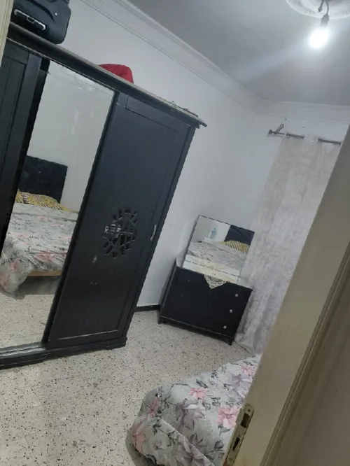 Location Villa Alger Les eucalyptus