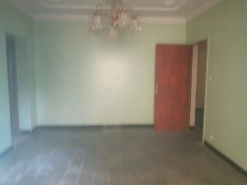 Location Villa Alger Les eucalyptus