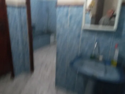 Location Appartement F3 Alger Les eucalyptus