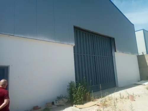 Location Hangar - Usine Alger Les eucalyptus