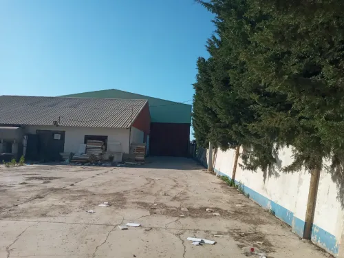 Location Hangar Boumerdès Hammedi