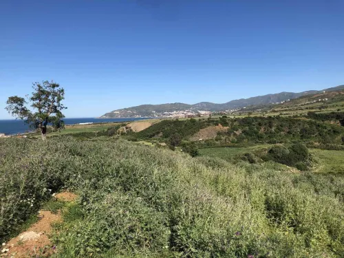 Vente Terrain Tizi Ouzou Azeffoun
