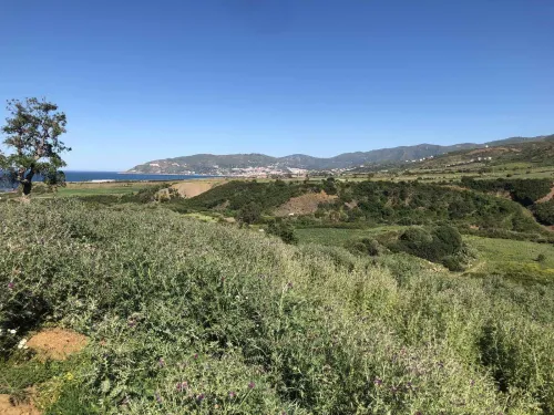 Vente Terrain Tizi Ouzou Azeffoun