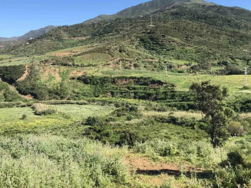 Vente Terrain Tizi Ouzou Azeffoun