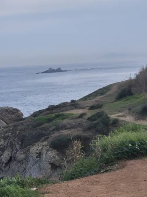 Vente Terrain Alger El marsa