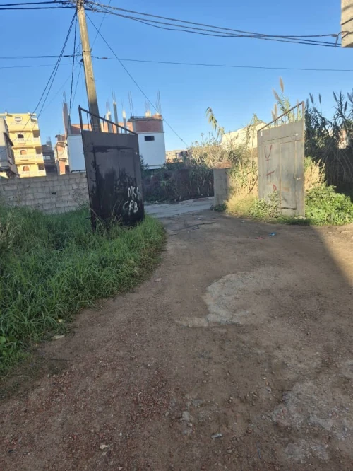 Vente Terrain Alger Hraoua
