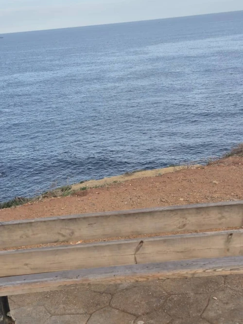 Vente Terrain Alger El marsa