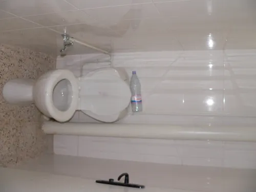 Location Appartement Tipaza Tipaza