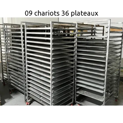 Vente chaîne semi automatique tout genre de gâteaux traditionnelle et moderne