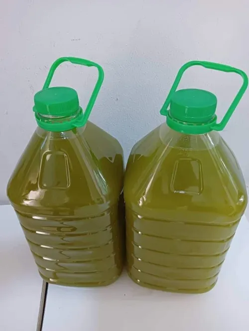 Dattes algérienne huile d'olive oïl Oliv 