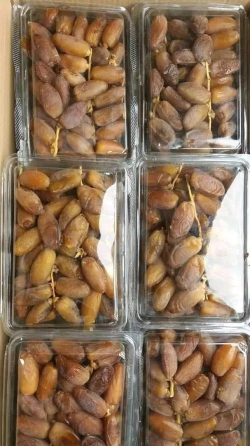 Dattes deglet Nour d'Algérie تمور جزائرية ممتازة